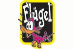 Flügel Nederland