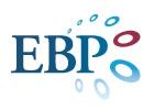 EBP group 