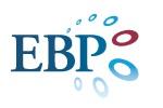 EBP group