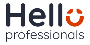 Directeur Detachering
